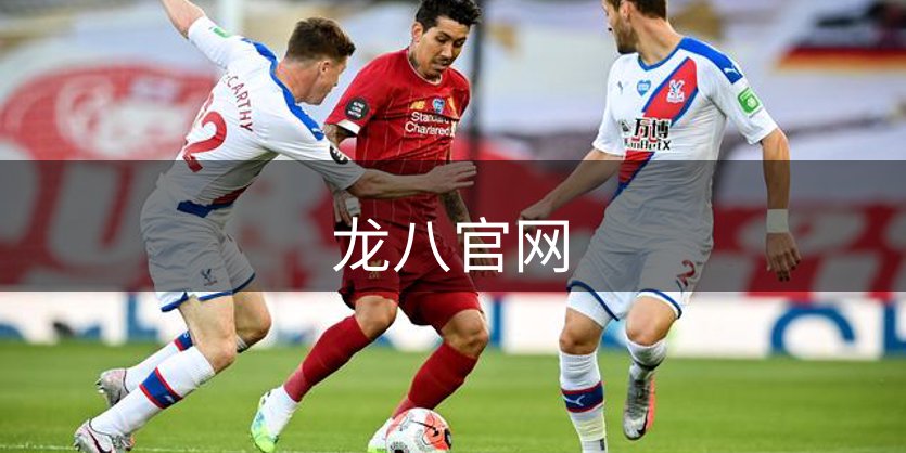 公司未来蓝图